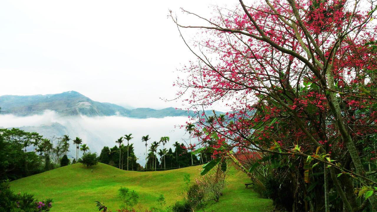 Foggy Wonderland Vila Zhushan Exterior foto